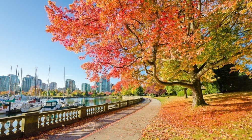 Weekly Market Commentary October 7 2024