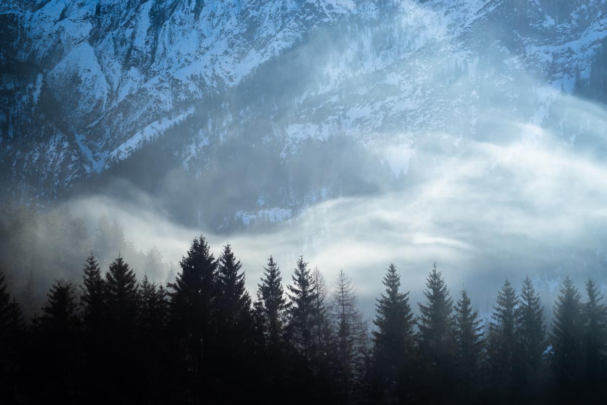 Weekly Market Commentary March 3rd, 2021