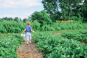 Gardening event.